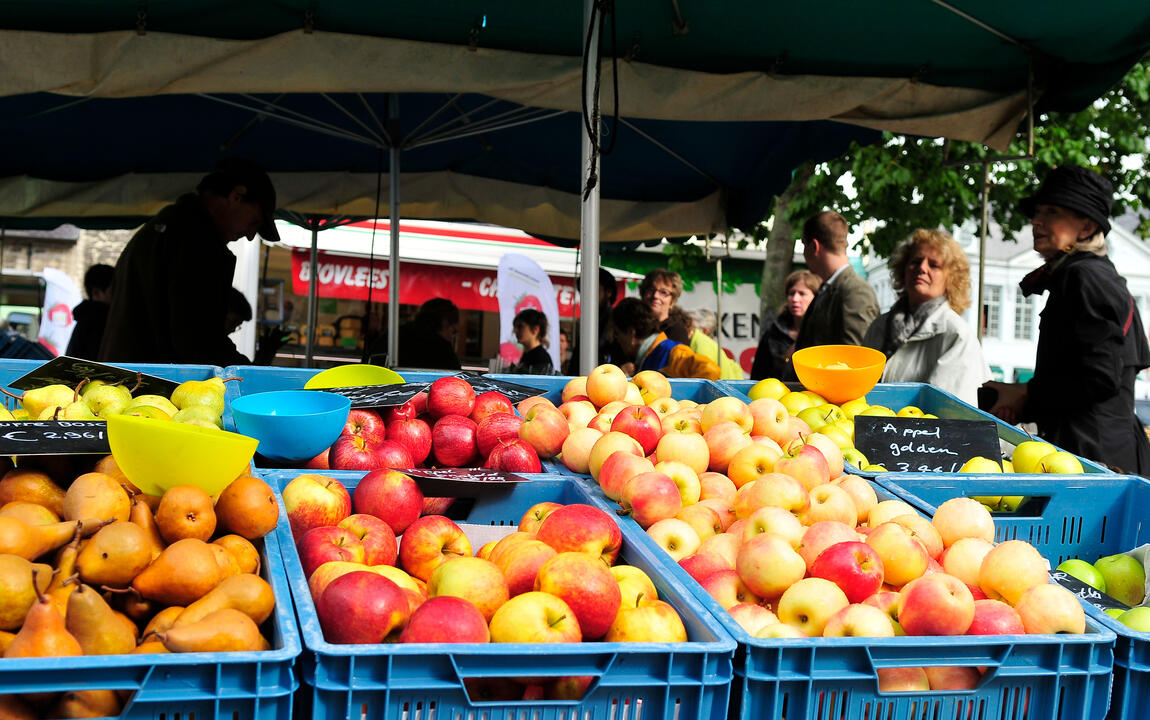 Boerenmarkt Vogelenzang