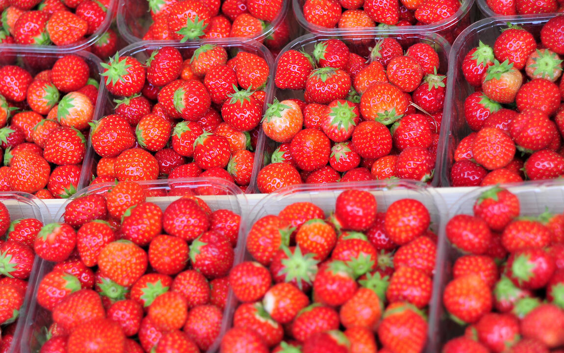 Vers fruit op de markt