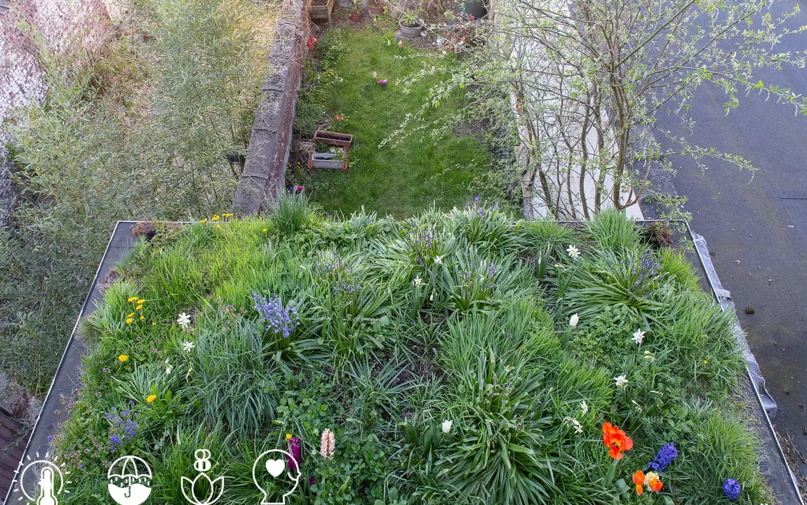 Hou het koeler met groendak en onthardde tuin 