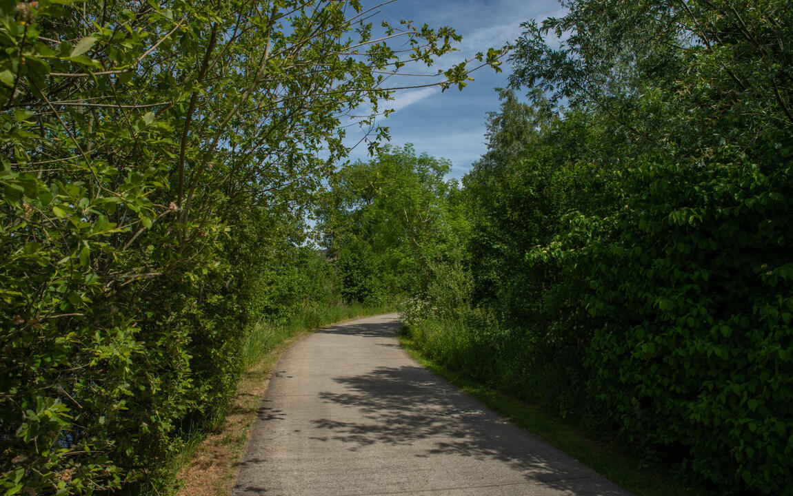 Fiets- en wandelpad