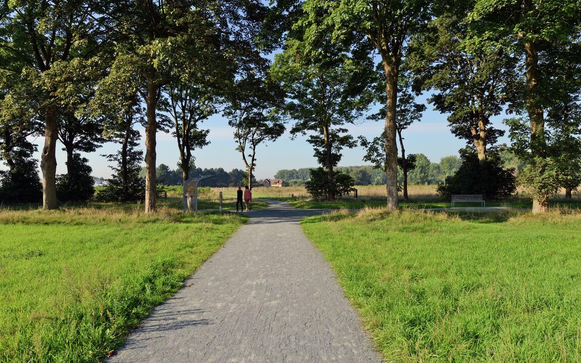 Parkbos - groen en water voorzien