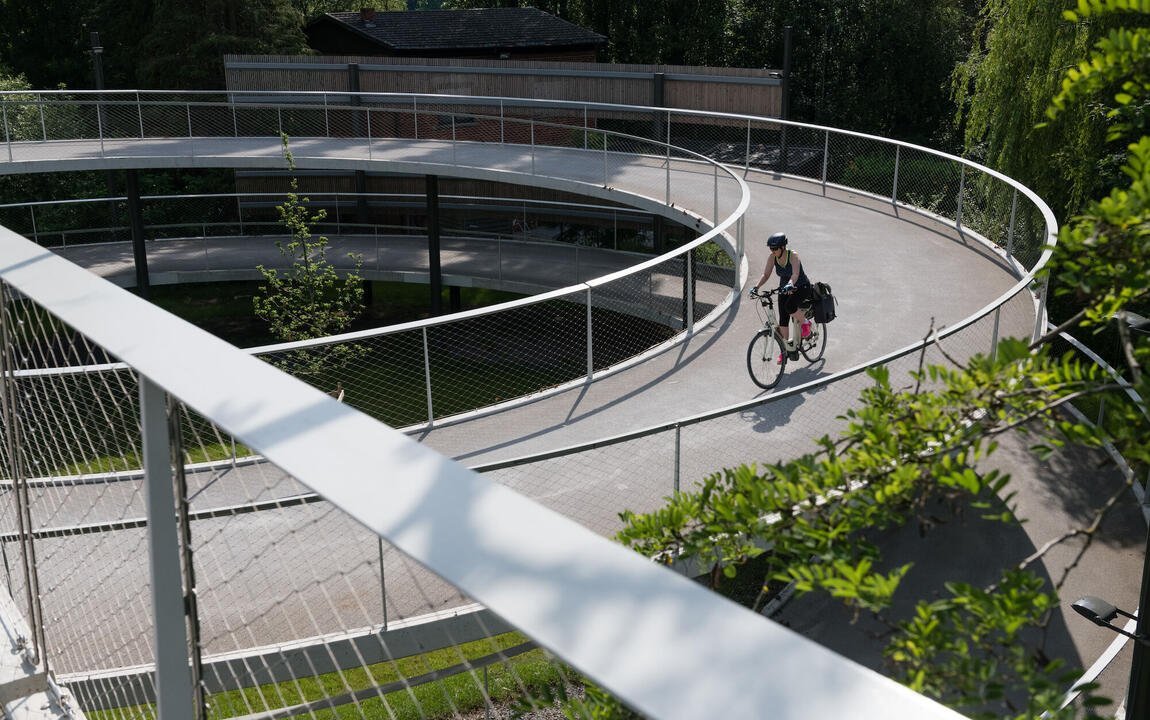 Parkbosbrug - fietssnelweg