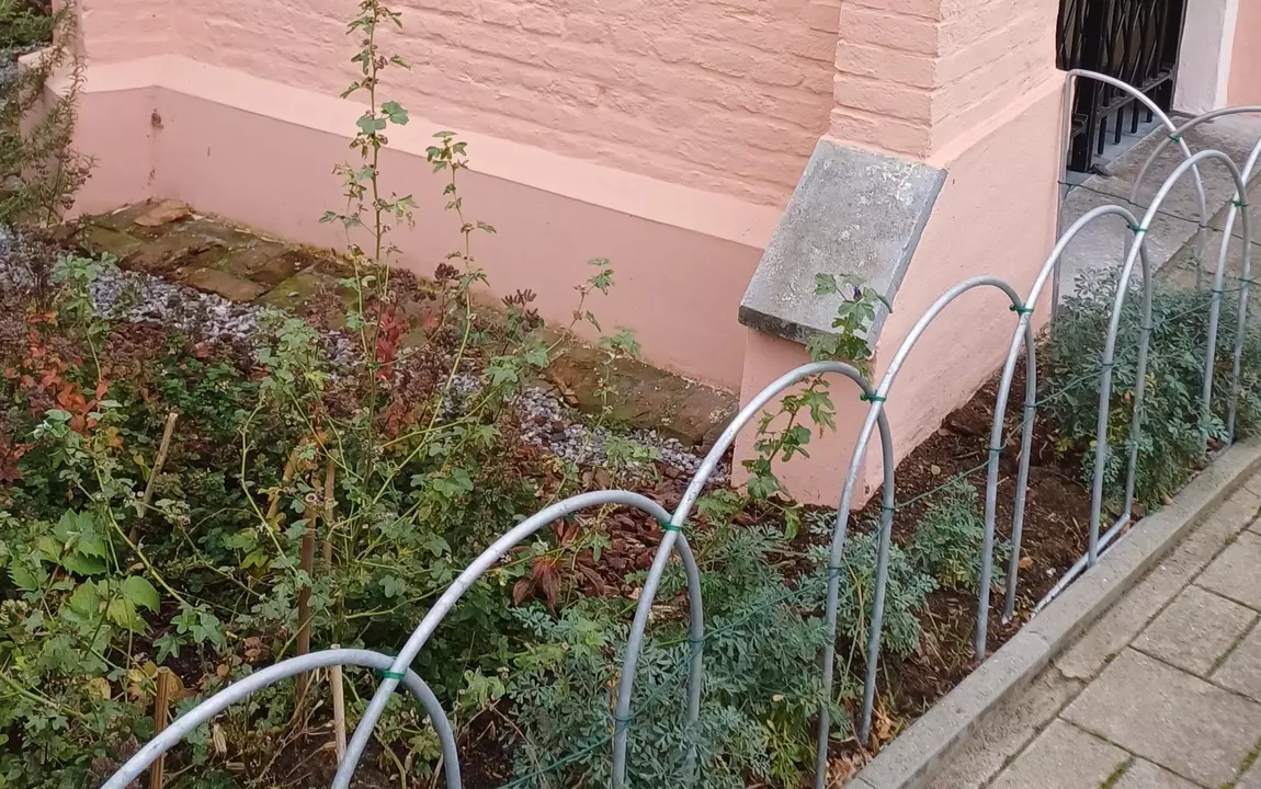 Het tuintje met medicinale planten