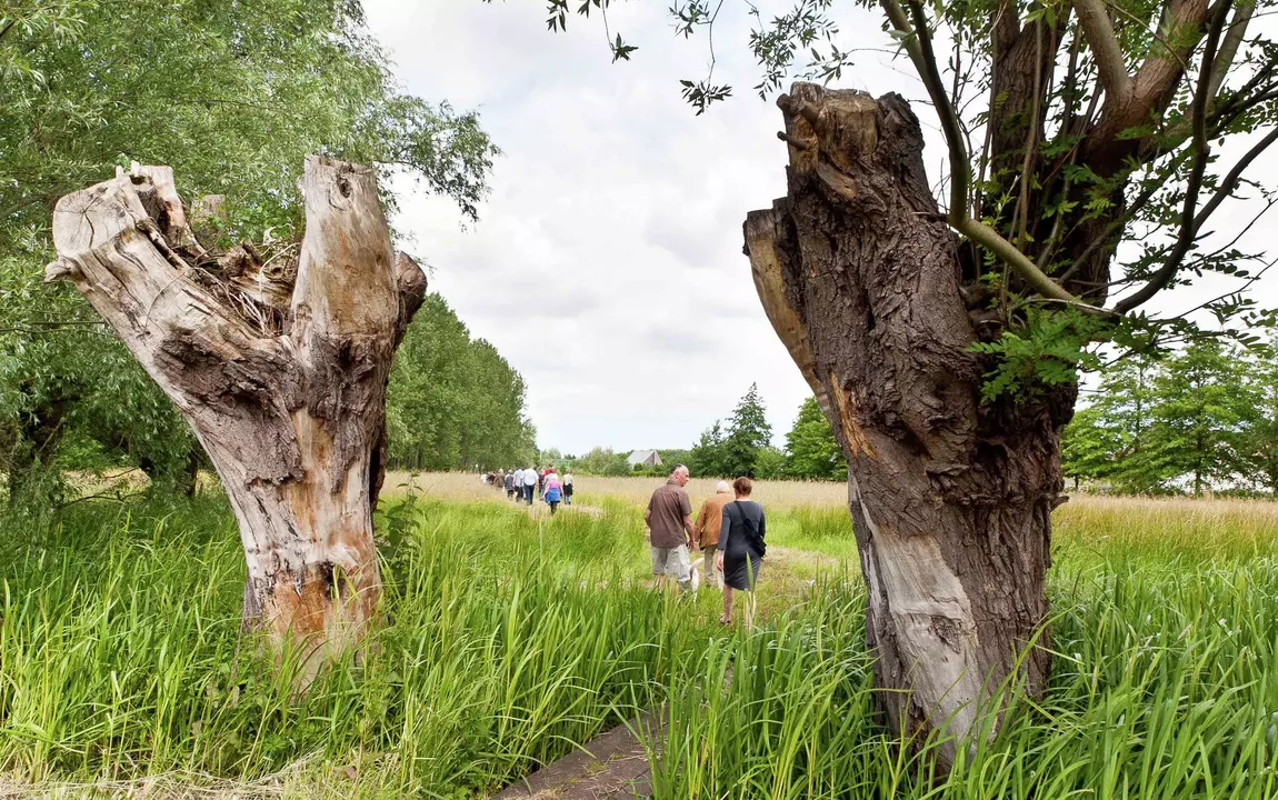Wandelen in de Gentbrugse Meersen
