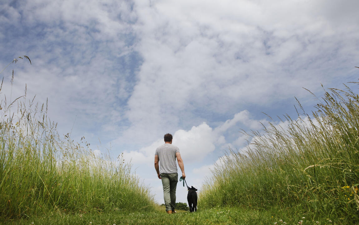 Wandelen met de hond in de Gentbrugse Meersen