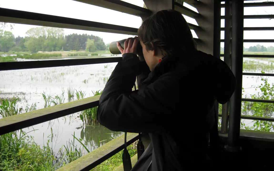 bezoeker in de vogelkijkhut