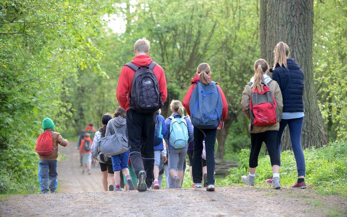 foto van een groepje wandelaars