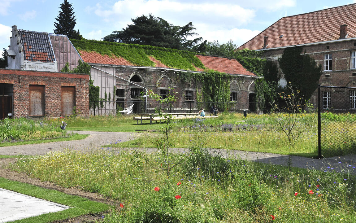 park met oude gebouwen op de achtergrond