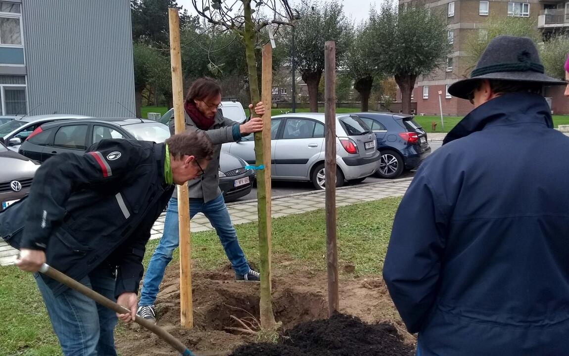 Bewoners planten fruitbomen.