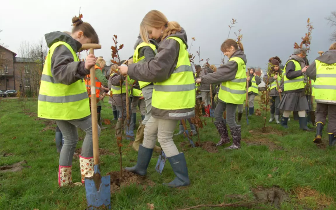 kinderen planten een bos aan