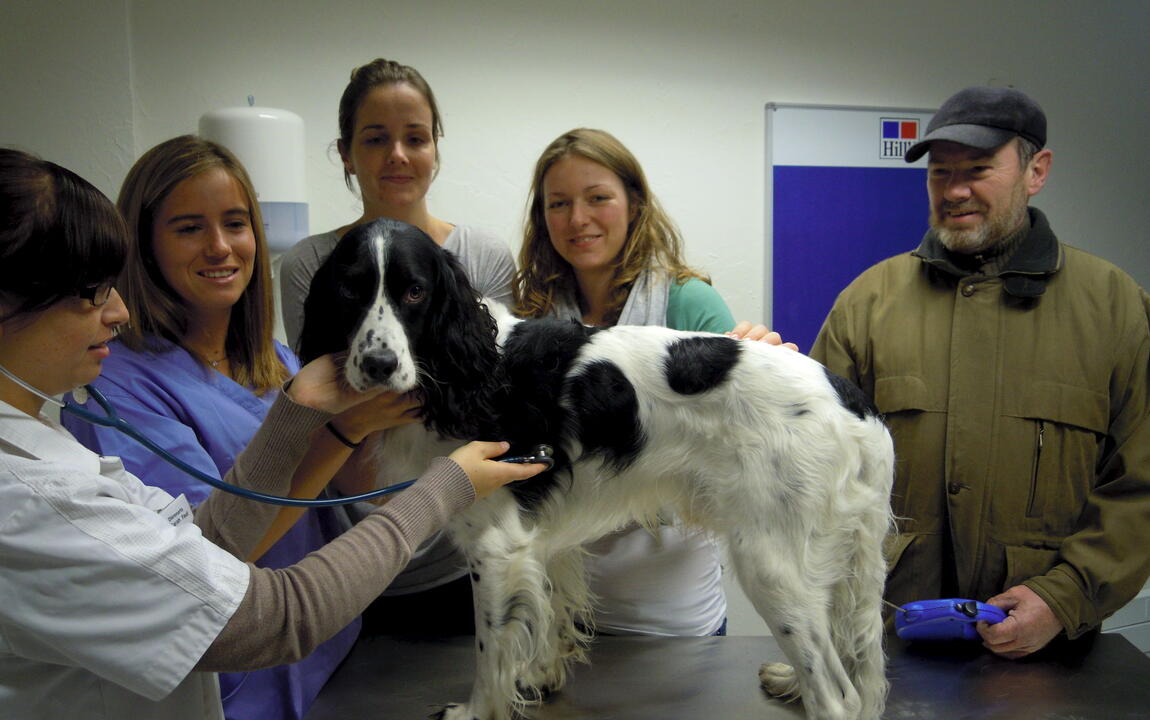 Een hondje geniet van de goede zorgen in het dierendispensarium