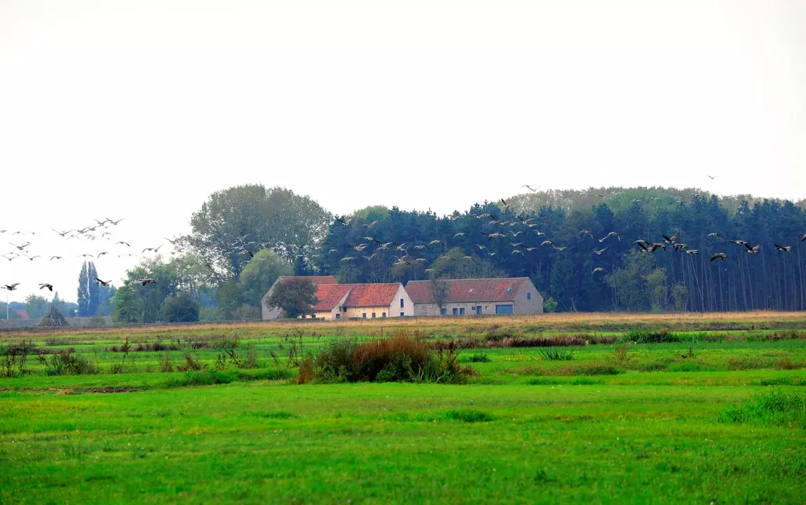 Zicht op de Valkenhuishoeve