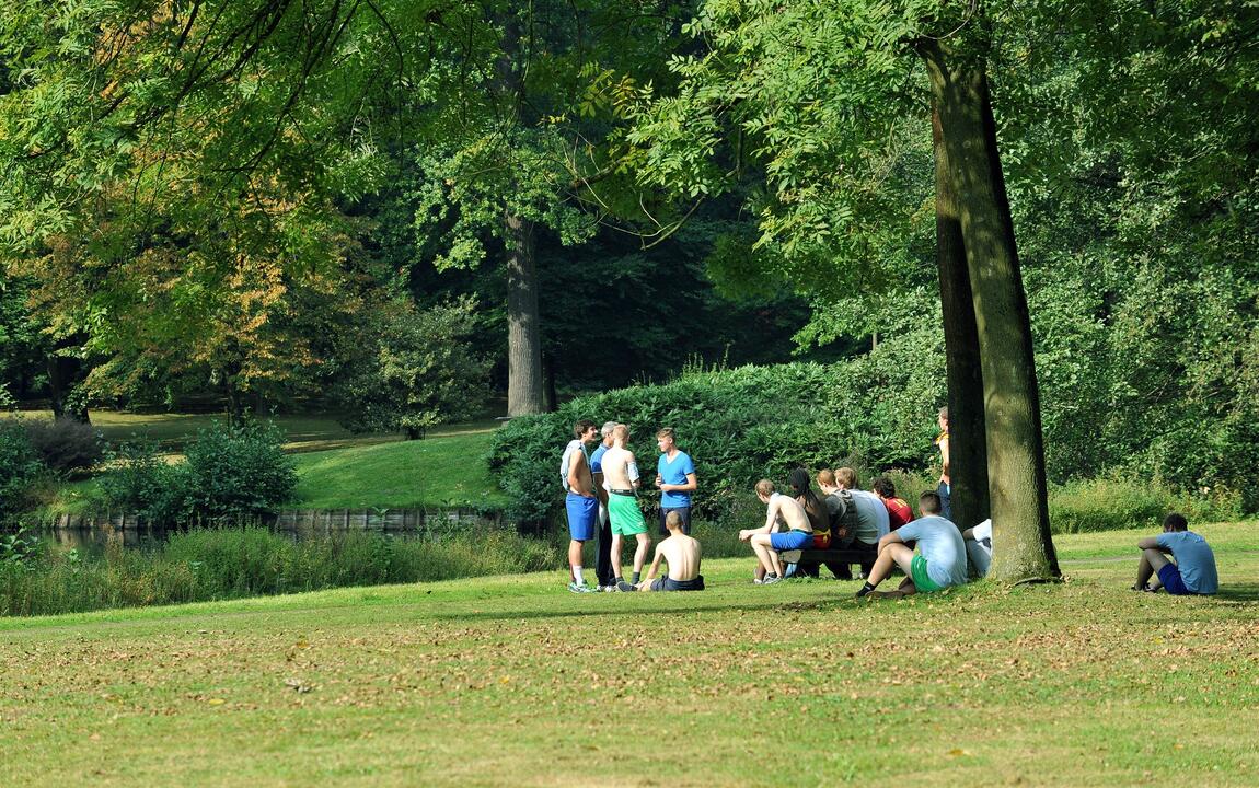 jongeren in het gras