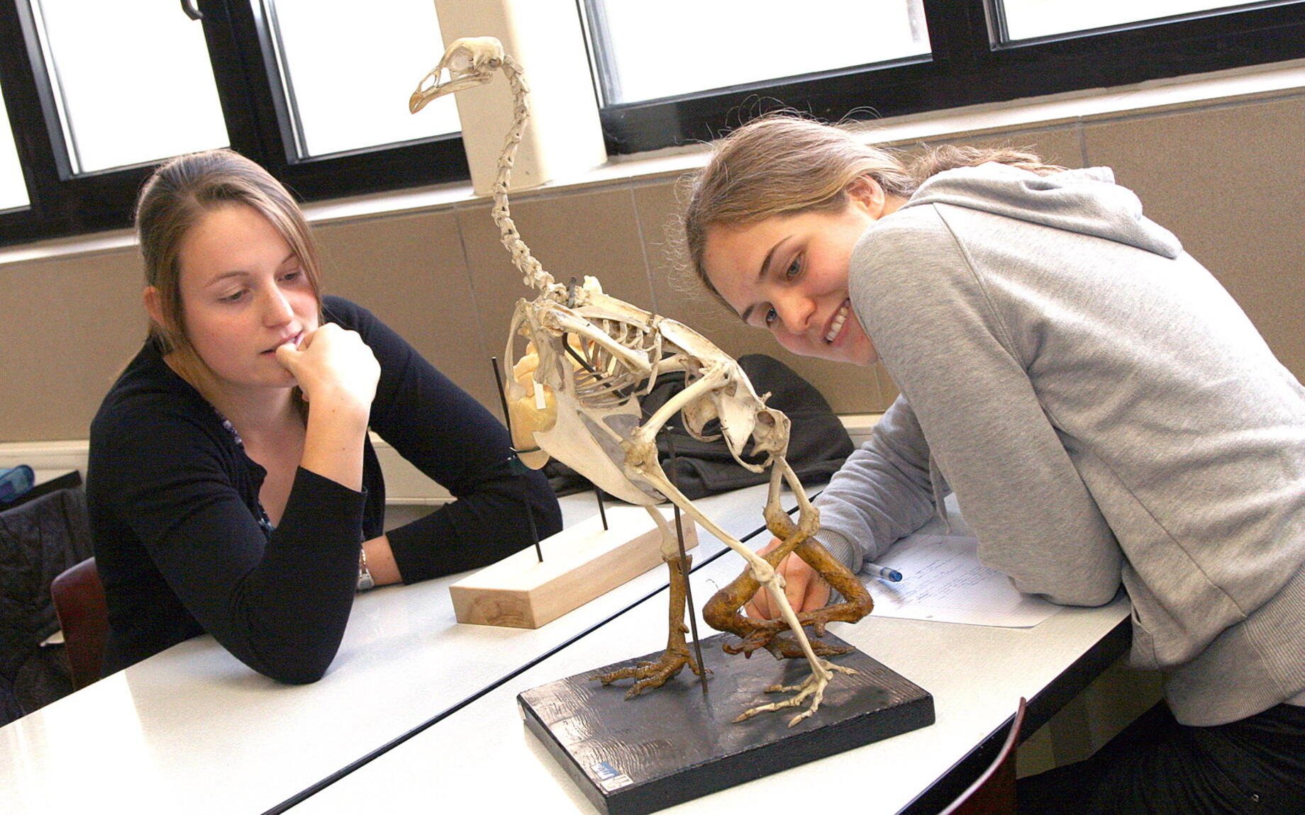 Studenten die een dierenskelet onderzoeken