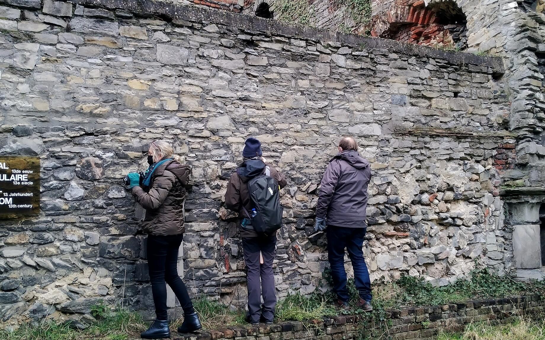 Onderzoekers inventariseren de korstmossen op de muren van de Sint-Baafsabdij