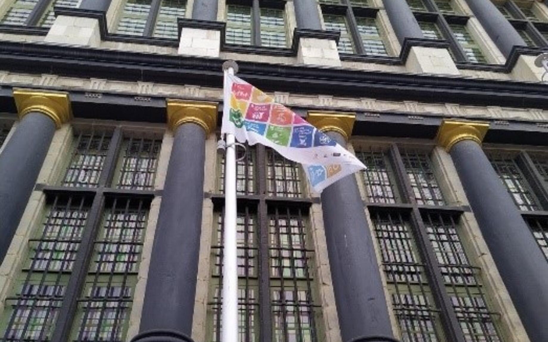 SDG-vlag
