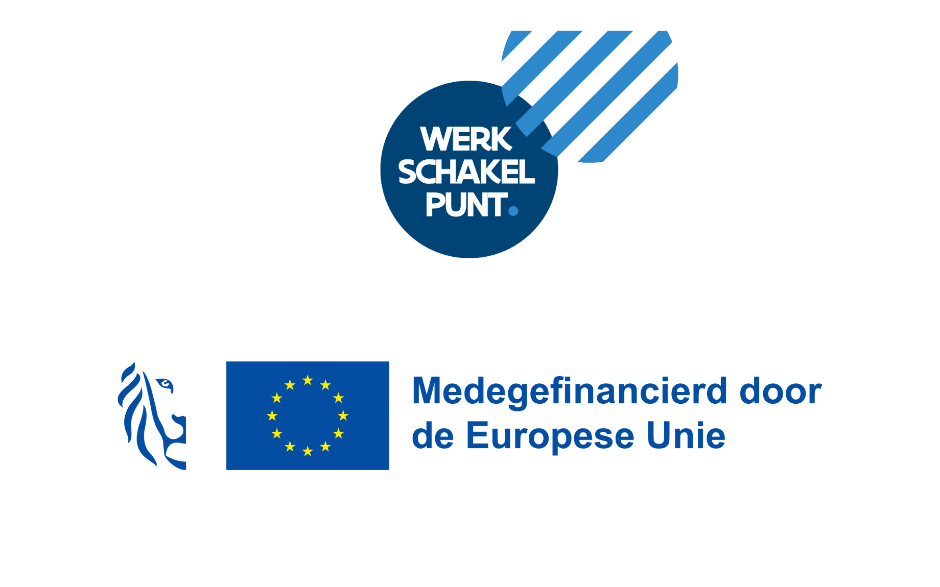 combinatielogo Europa WSE - WSP