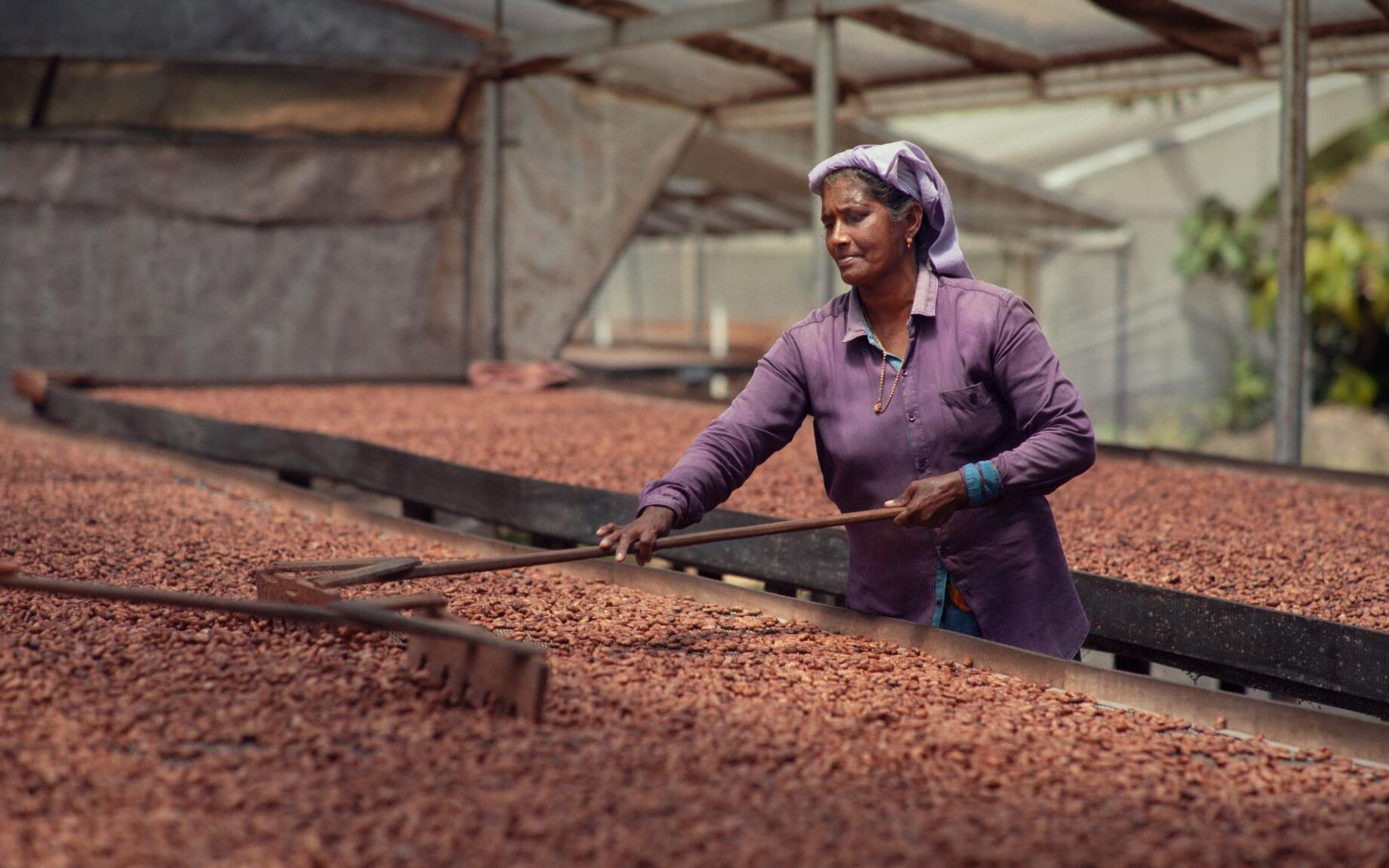 Ellen produceert haar chocolade in haar eigen bedrijf in India