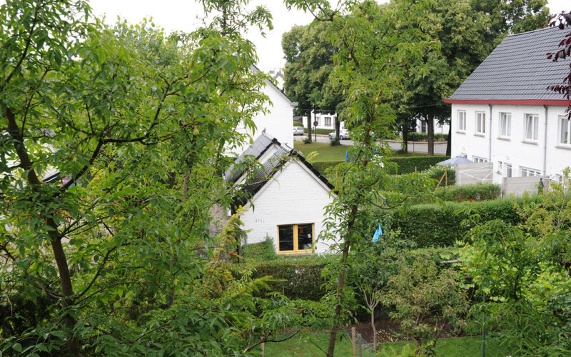 Het Eiland Malem tussen twee Leiearmen verstedelijkte vanaf 1952 als een tuinwijk.  