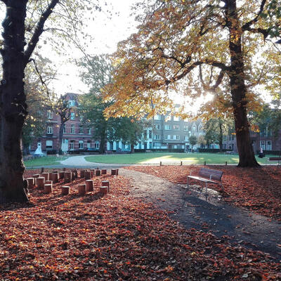 Vernieuwd Begijnhofdriespark 2021