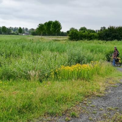 Koppelingsgebied Oostakker-Noord