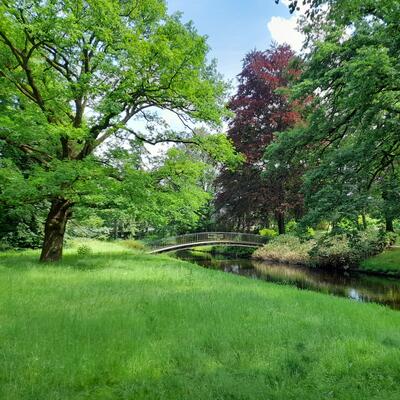 Maaltebruggepark brug