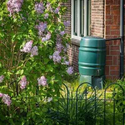 Regenton in een tuin