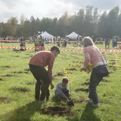 Ouders planten bomen in het geboortebos in de Vinderhoutse Bossen