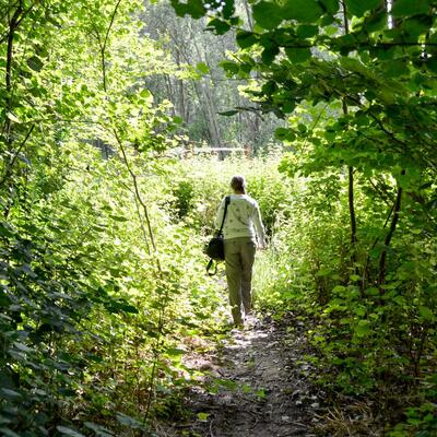 Wandelen in het domein Leeuwenhof