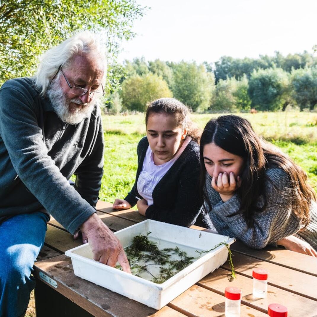 Een gids onderzoekt samen met twee leerlingen wat ze met een net uit de schepvijver gehaald hebben