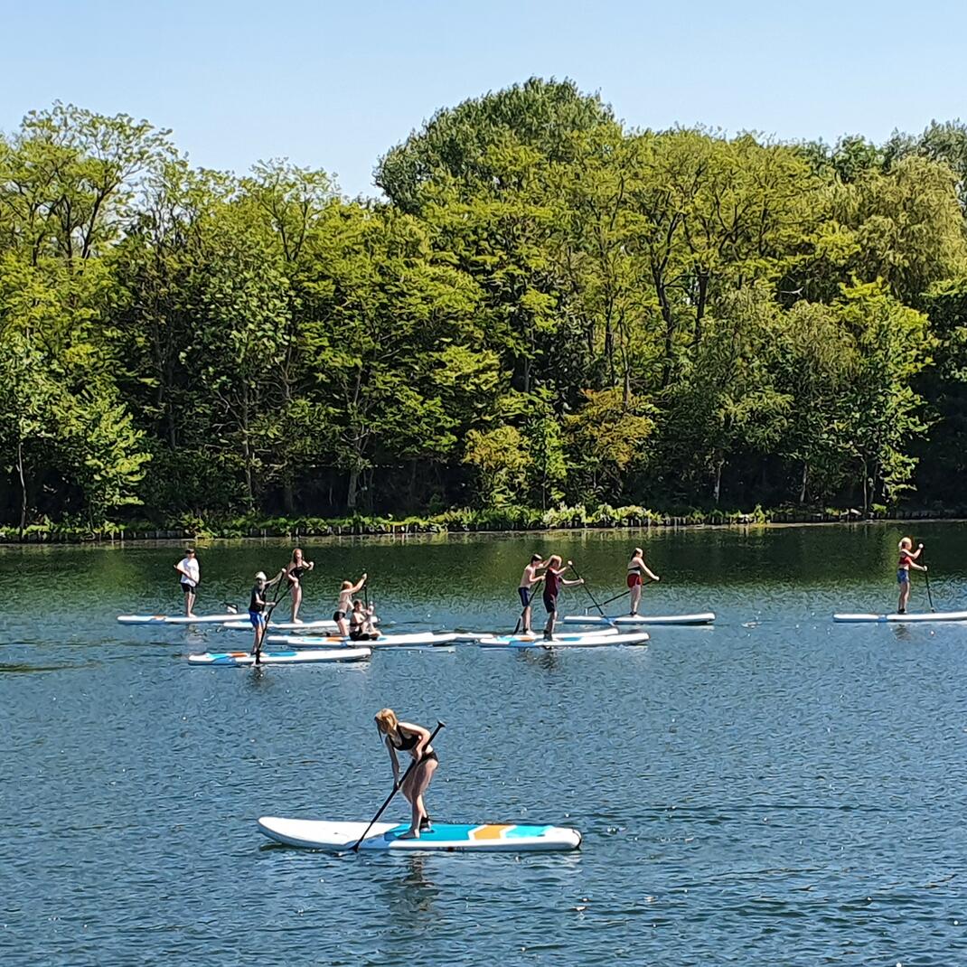 Stand up paddle