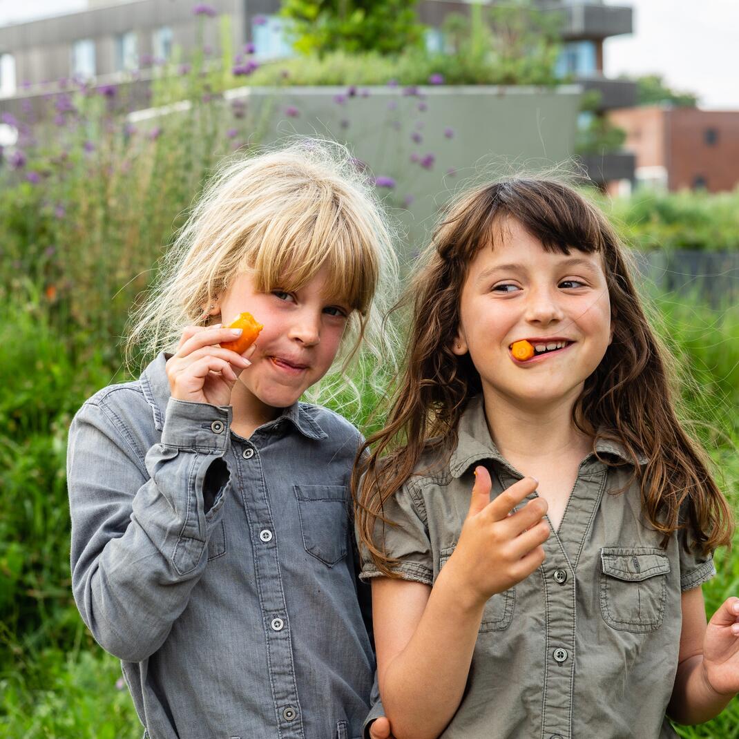 Meisjes met wortel in buurtmoestuin den draad