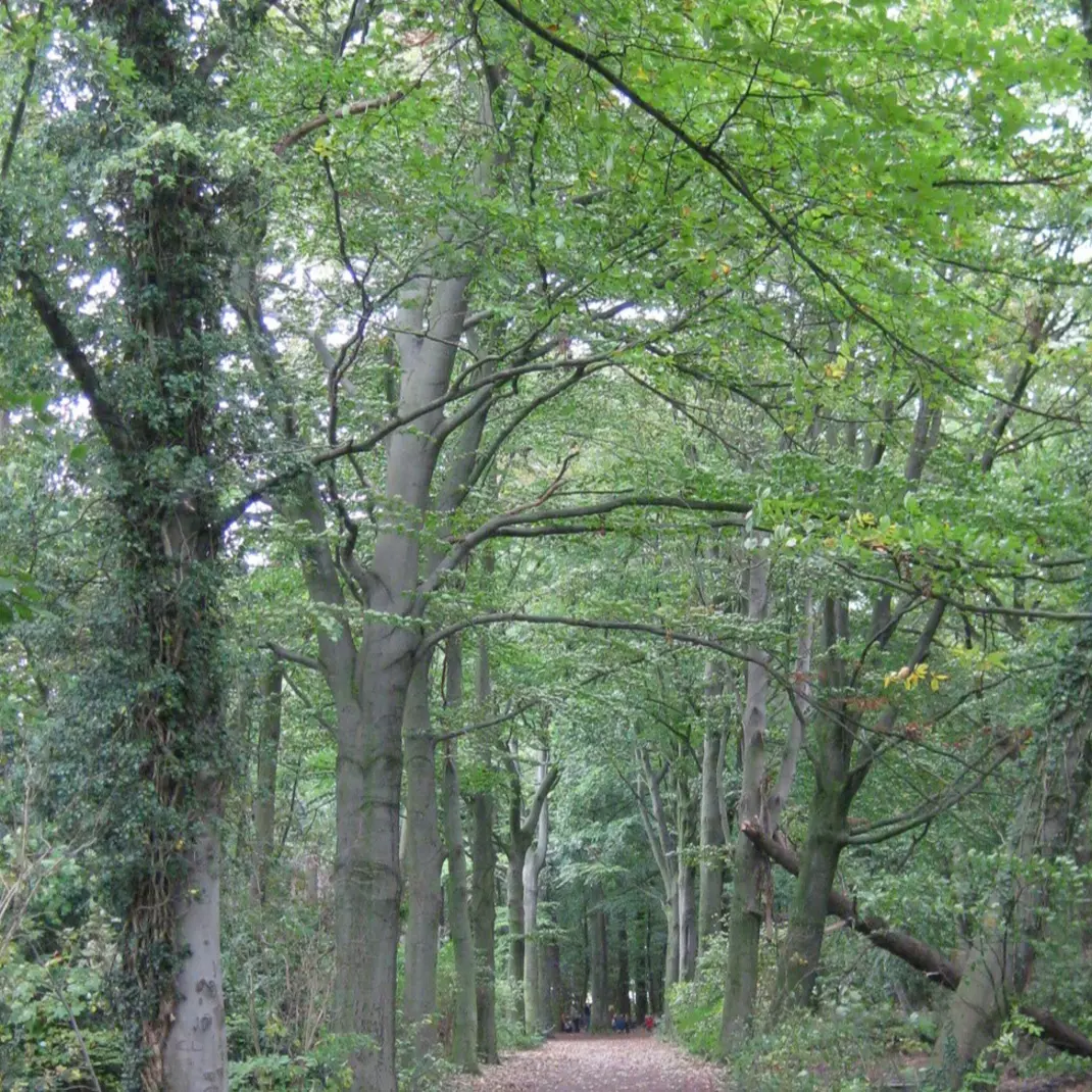 Het wandelbos Slotendries in Oostakker