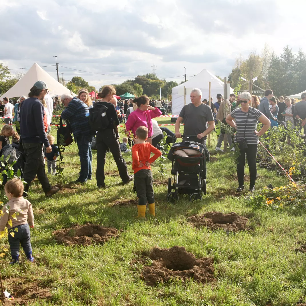 Een beeld van een vorige plantdag in de Vinderhoutse Bossen