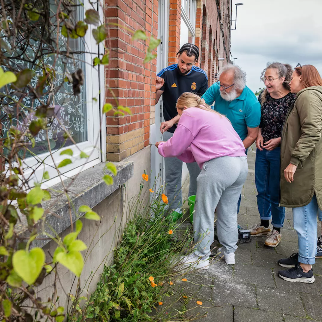 Buren planten geveltuinen