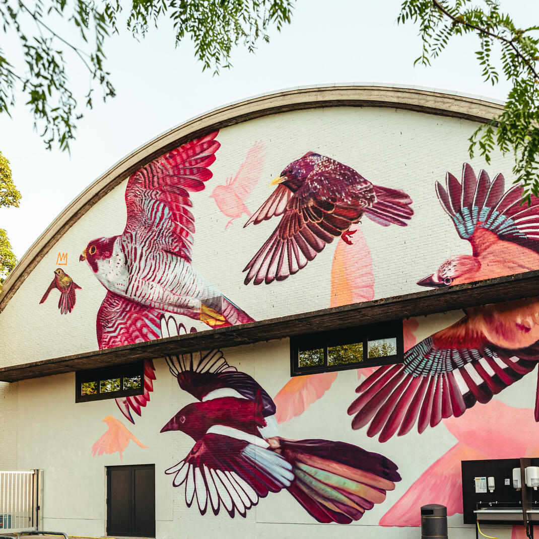 graffiti op gevel van huis