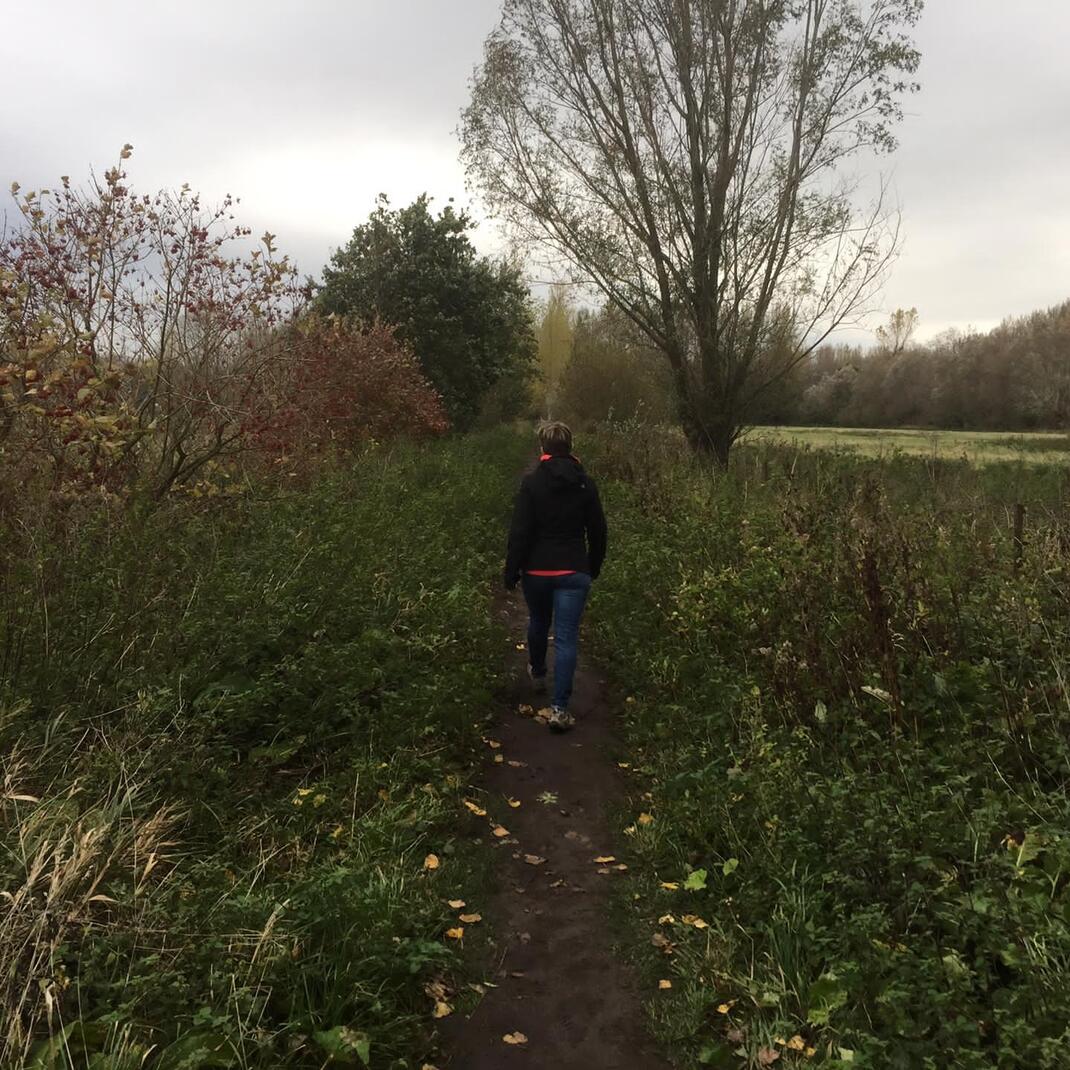 herfstwandeling header 