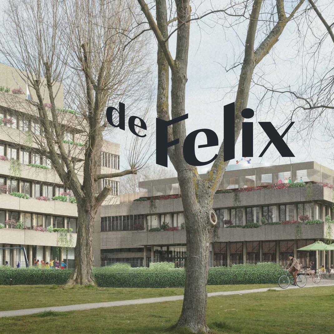 Zicht op de Felix
