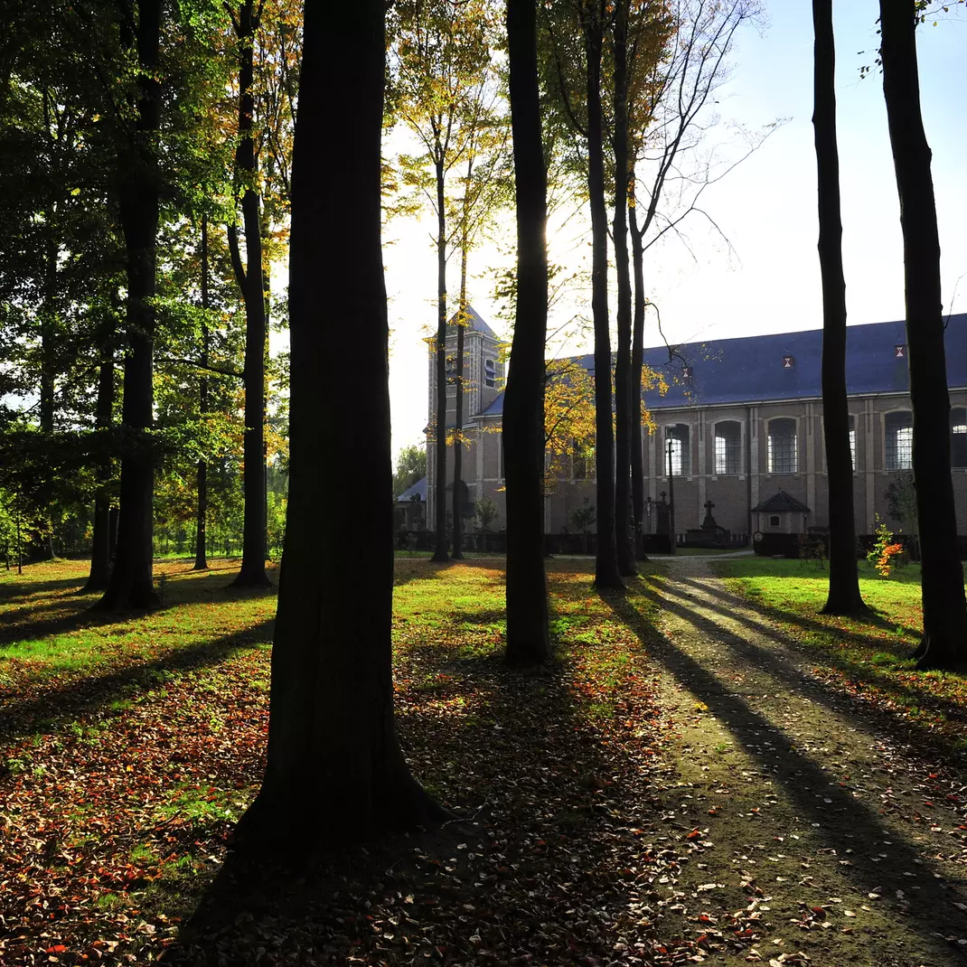 Bomen Vroonstalledries