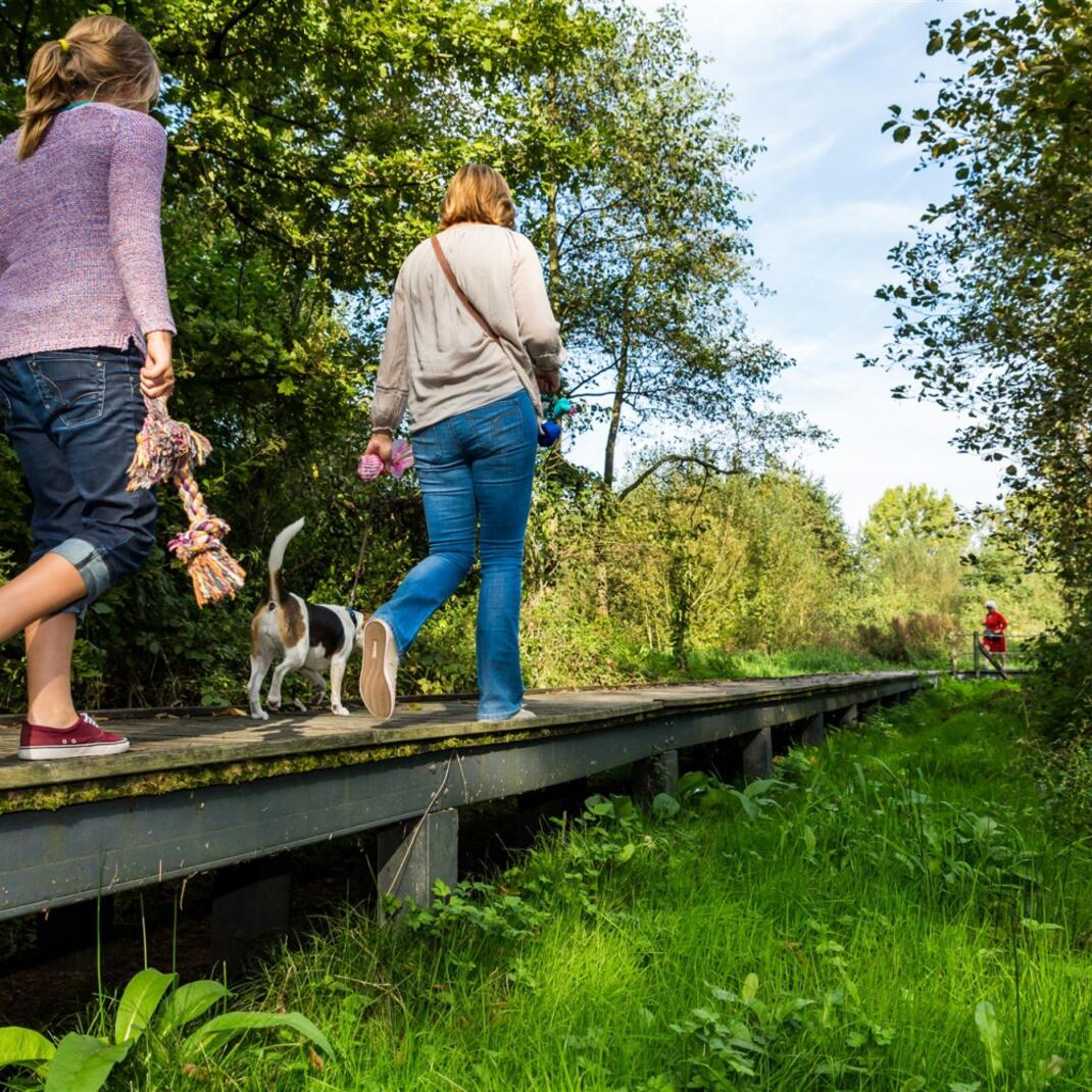 wandelaars op een vlonderpad in de Vallei van de Rosdambeek