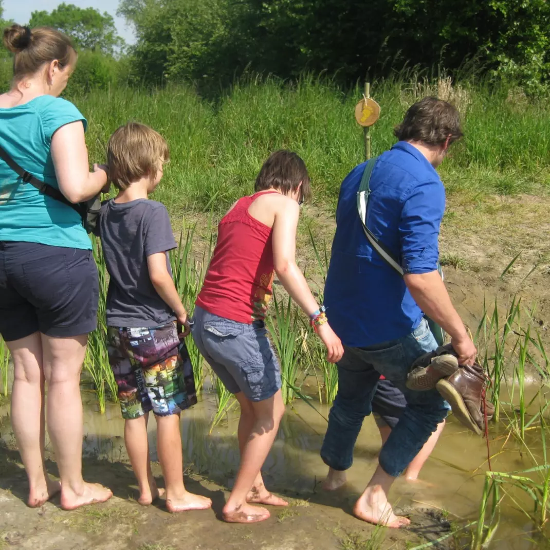blotevoetenpad in de Gentbrugse Meersen