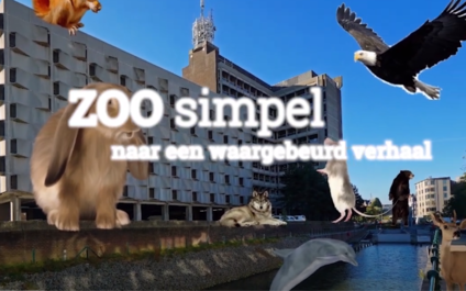 Mediacoach Zoo simpel