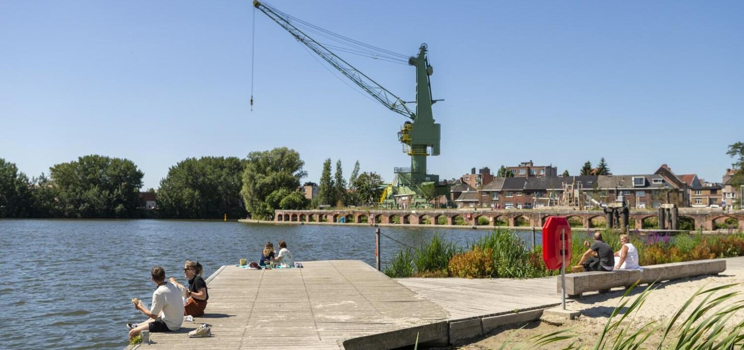 Onder meer in het Houtdok zijn blauwalgen vastgesteld