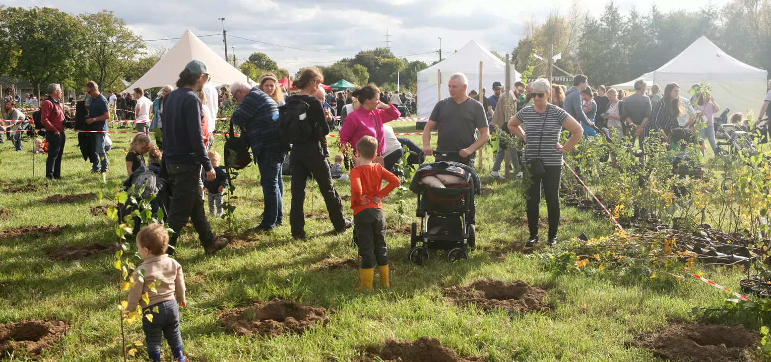 Een beeld van een vorige plantdag in de Vinderhoutse Bossen