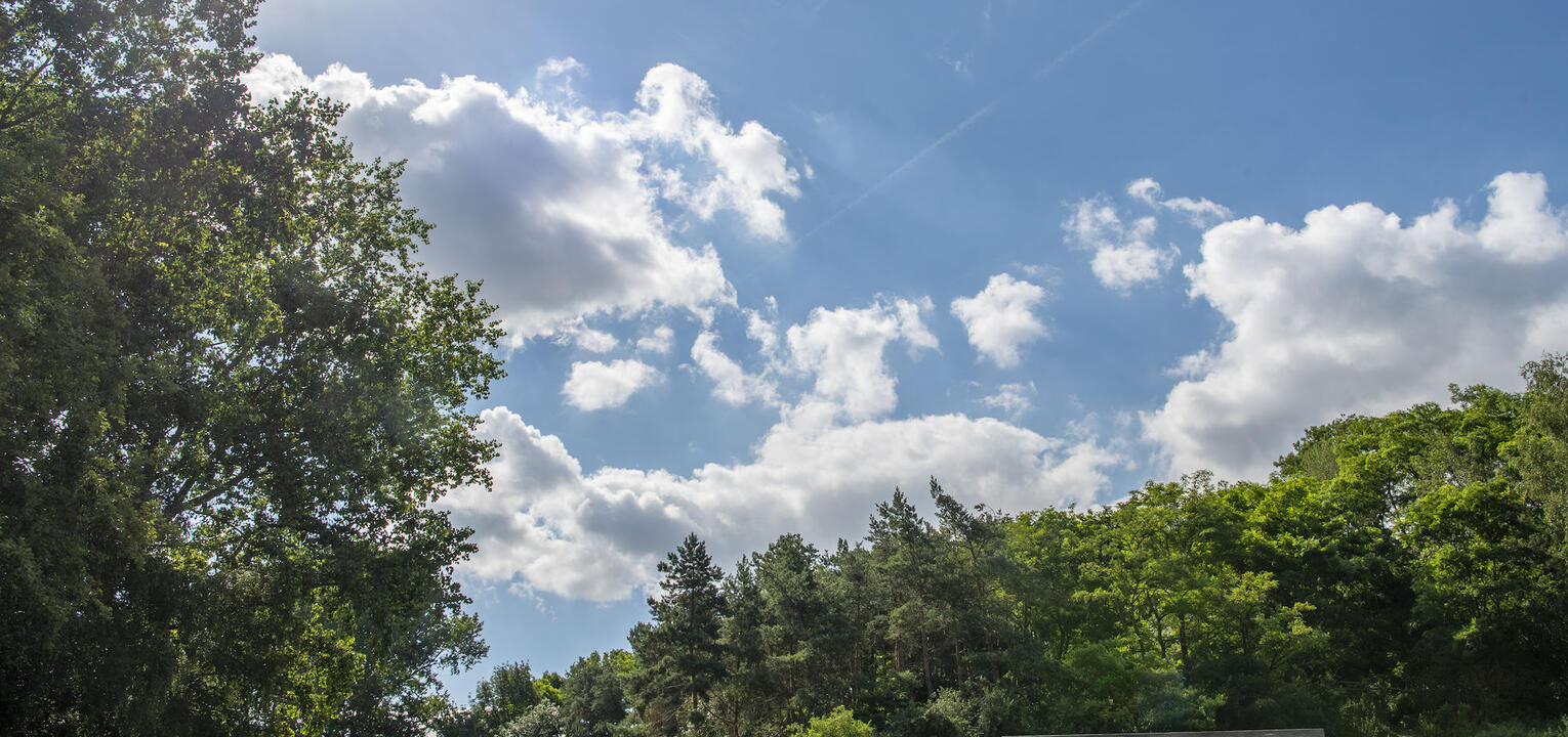 Blaarmeersen zomer warm weer