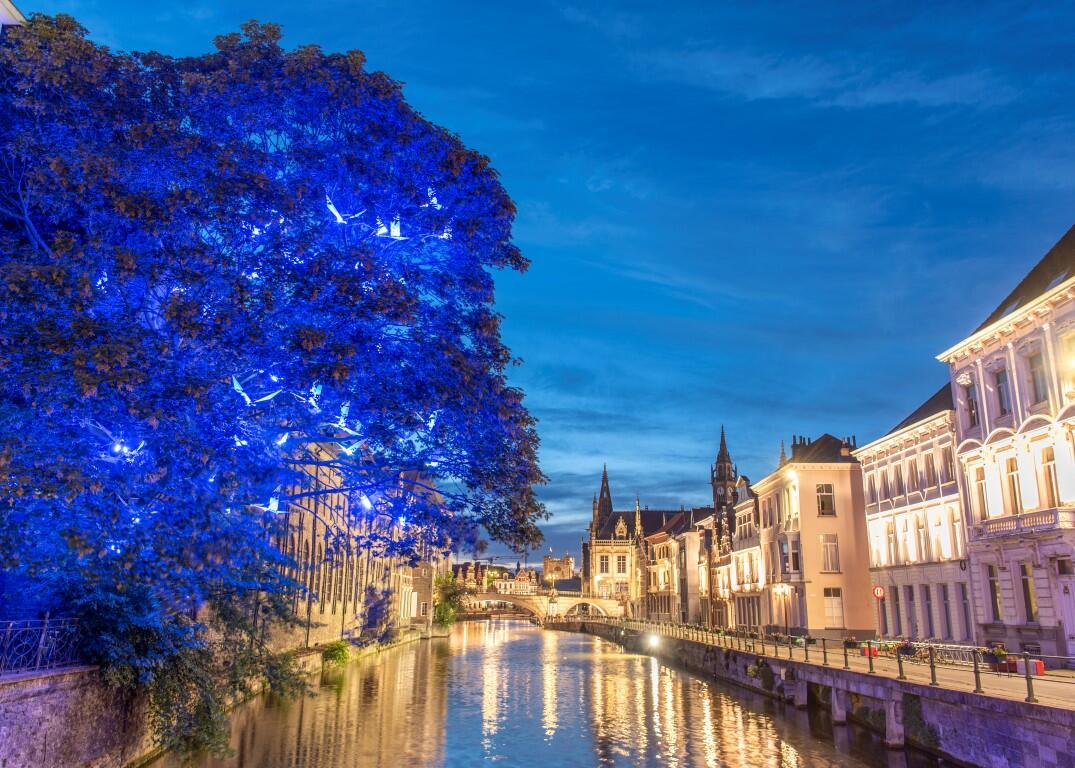 Blauwe vogels tijdens blauw uurtje