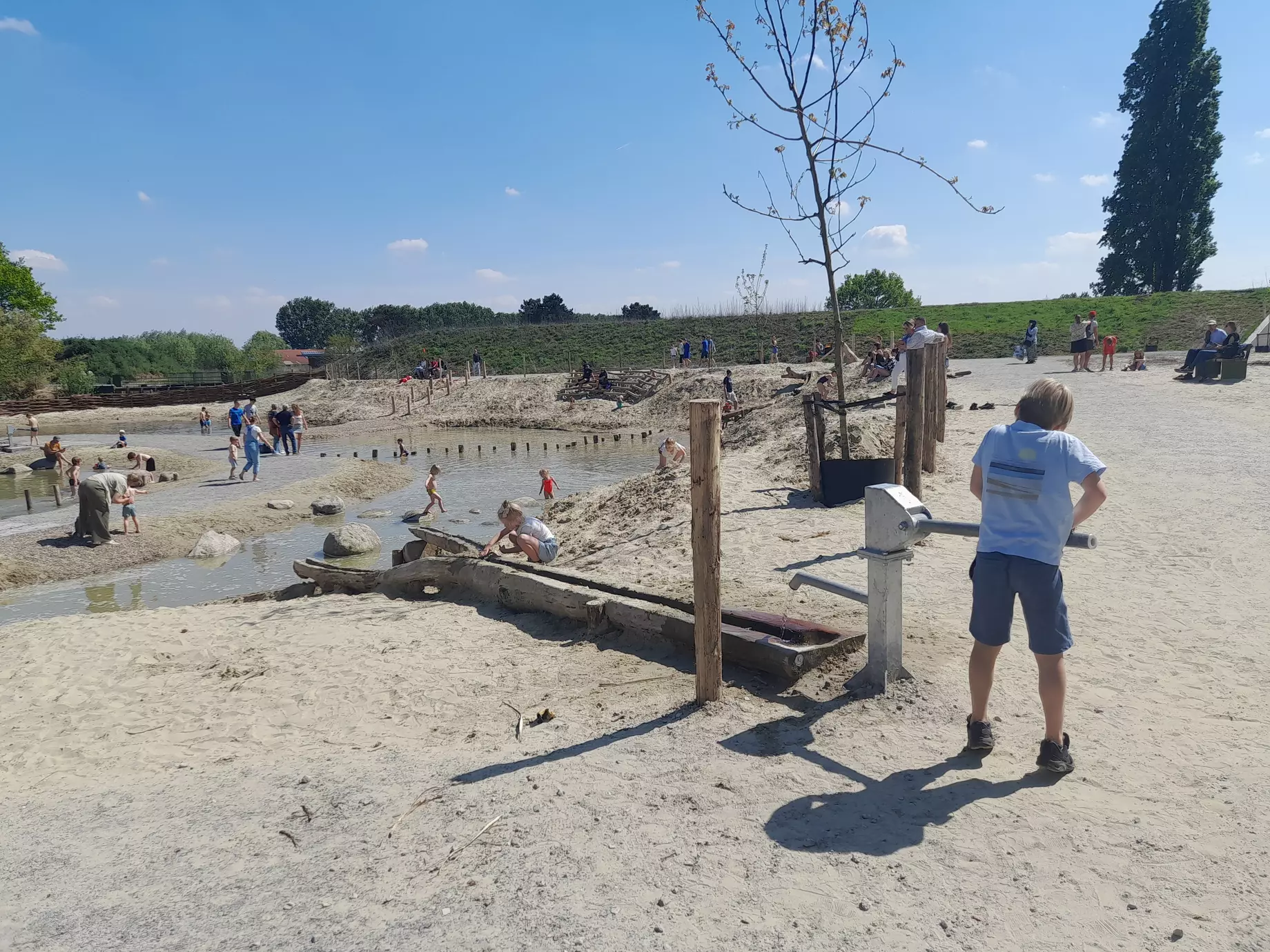 Moerasspeelzone Wonderwoud