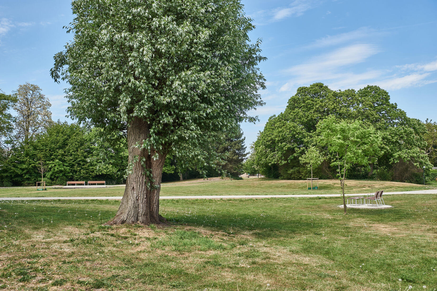 Zonnebloempark