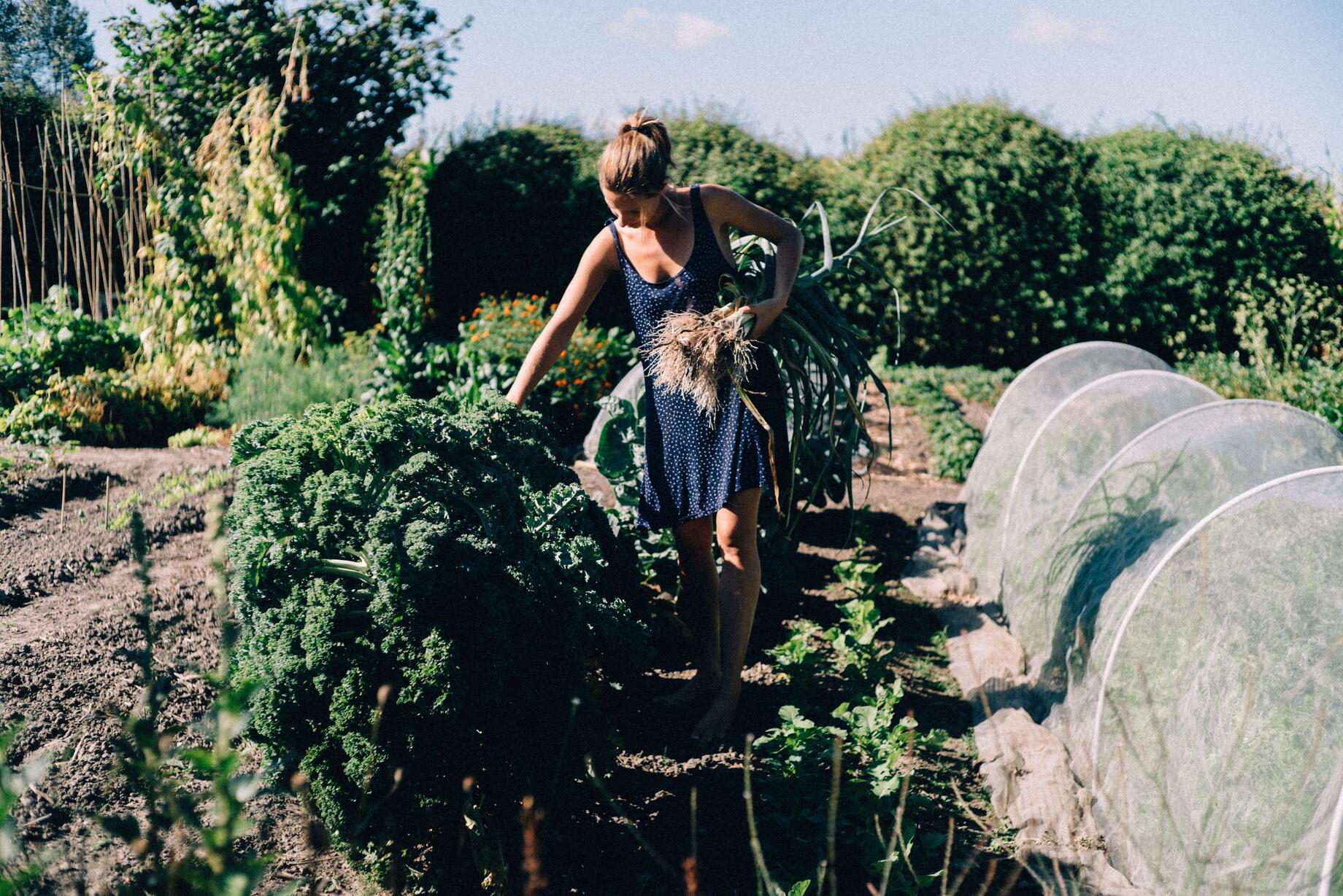 Anna in de pluktuin