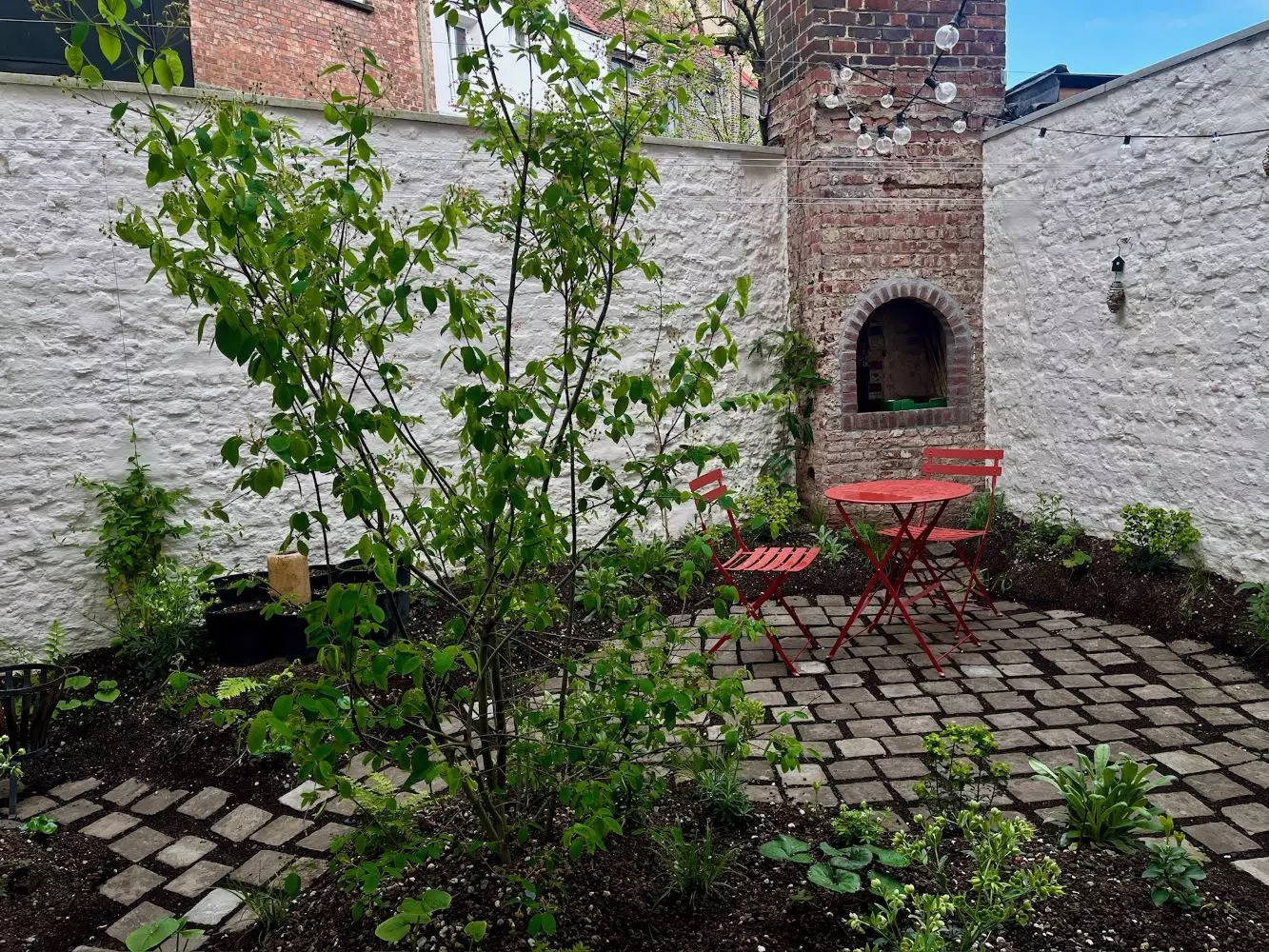 Stadstuin met krentenboom en stapstenen
